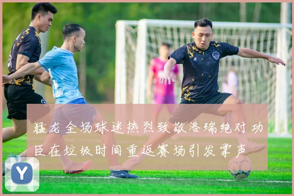 猛龙全场球迷热烈致敬洛瑞绝对功臣在垃圾时间重返赛场引发掌声